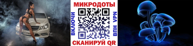 Галлюциногенные грибы Psilocybe  где продают   Зеленодольск 